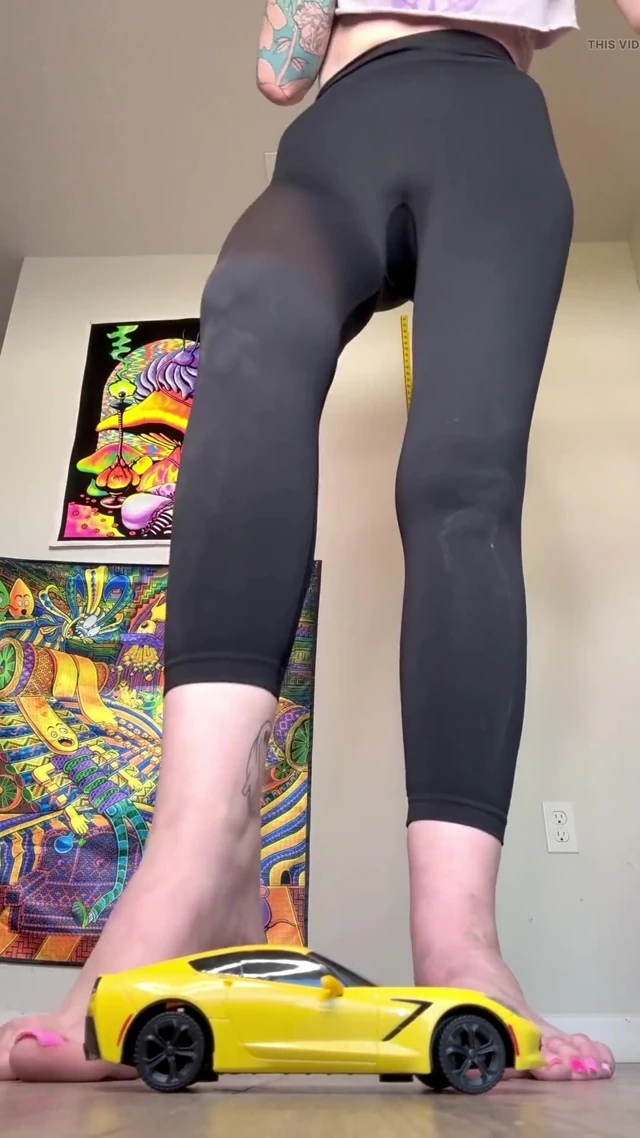 Smashing a Model Car with My Size 16 Feet