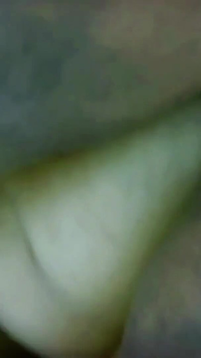 アラビアンセクシーなホテルメイドが部屋を掃除するときに巨大なお尻を見せて私を興奮させる - BBWホットメイド | クリップ 1