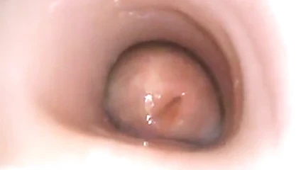 yağ ile iç hızlı cumshot
