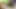 Hintli seksi evli evli kadın sert sakso çekiyor ve erkek arkadaşıyla fışkırtıyor