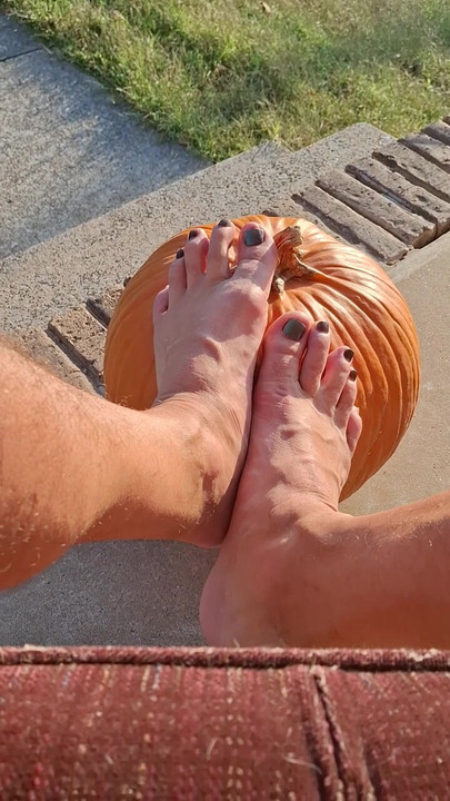 Peter pumpkin feeter