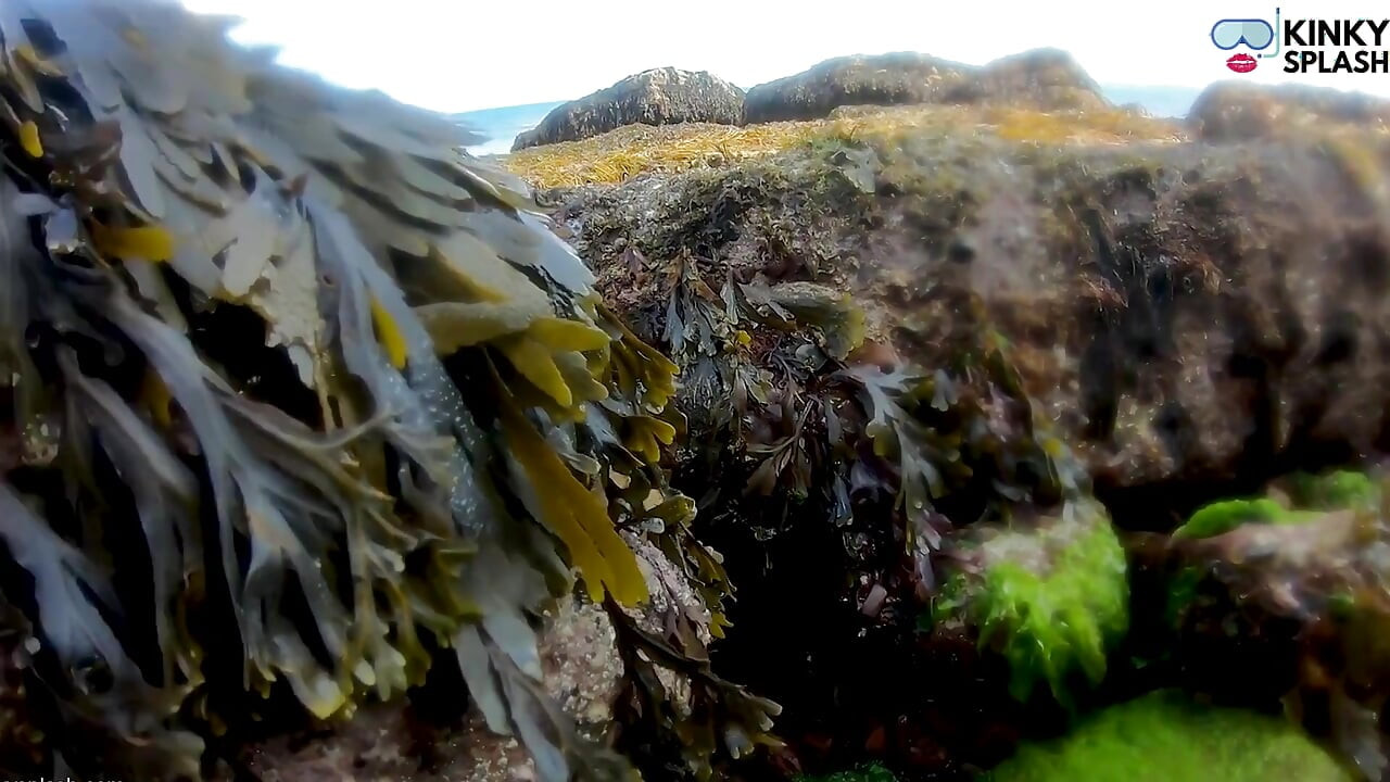 Sereia vista! Encontro molhado em Lost Cove