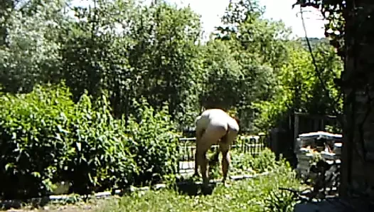 Nacktarbeit im Vorgarten