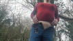 Pregled videozapisa