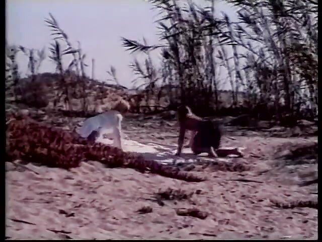Dwie blondynki o wielkich ciałach ruchają się zmysłowo na plaży