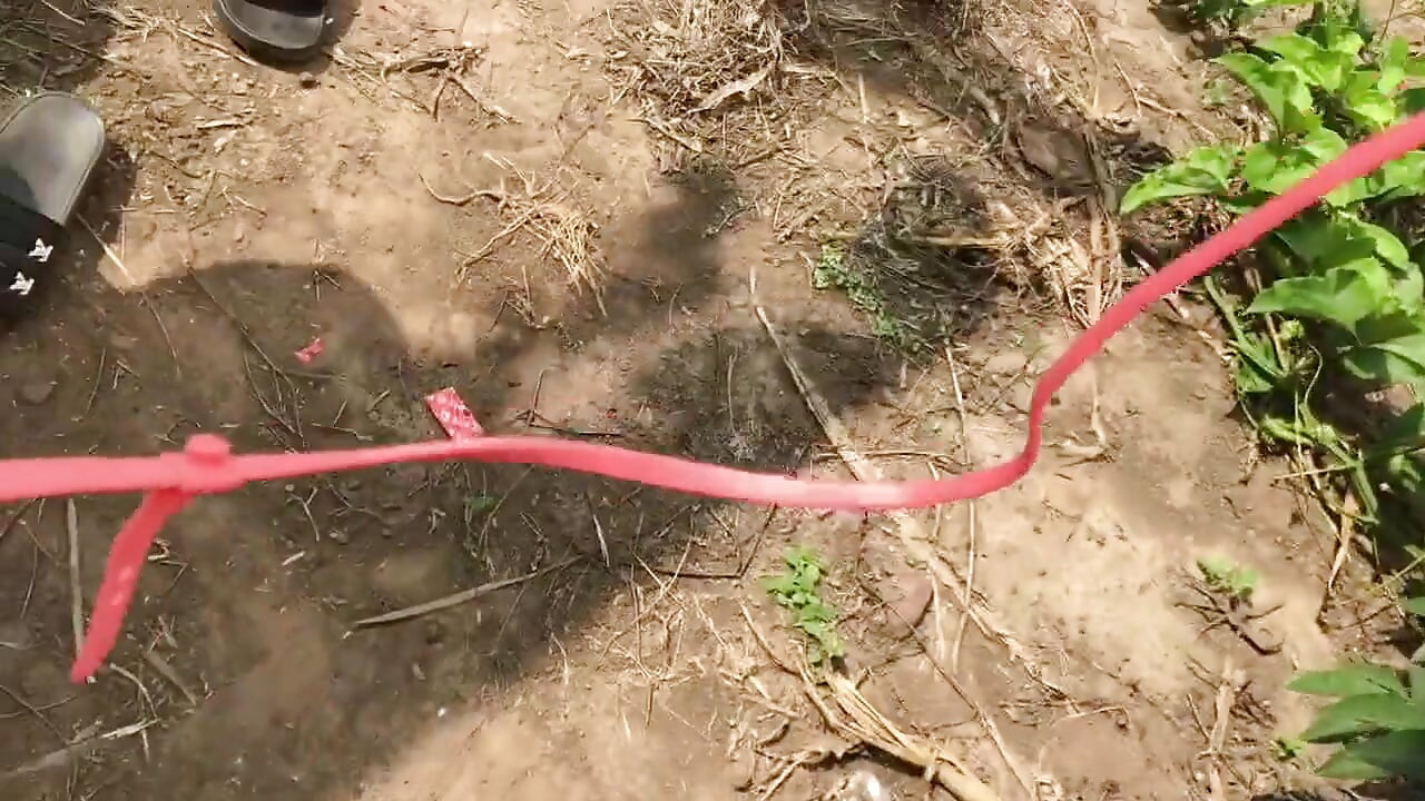 Ця сила демонструє свою неохайну дупу перед тим, як її відтрахали два африканських гарячих топи