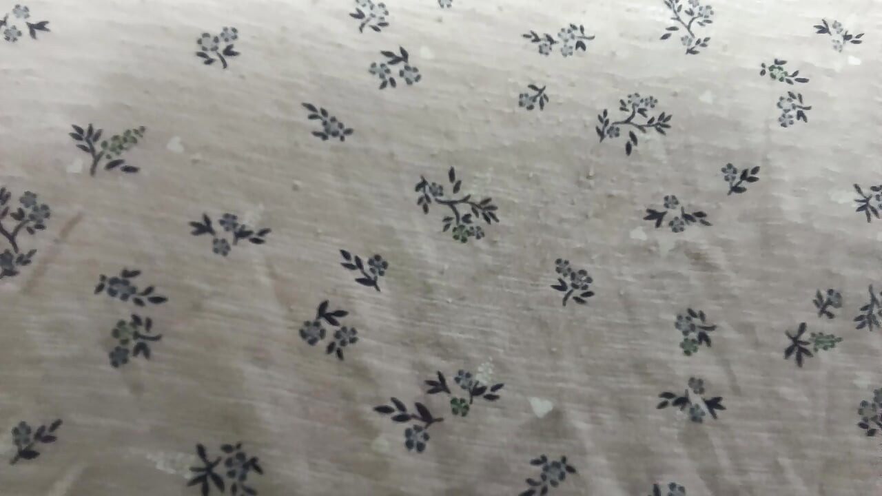 Cô vợ xinh đẹp bú sâu cổ họng