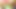 妻はすぐに散歩中に夫をしゃぶった
