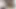 I HAIRY WITH MY BIG PENIS I CUM