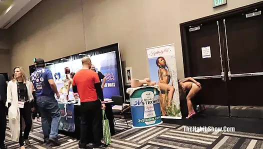 Uğur böceği ile 2019 Avn Expo