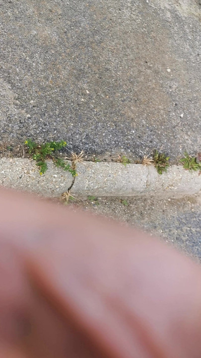 Quick stop and pissing Outdoor