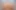 Creamy Masturbation of a Big Ass MILF in a Cowgirl Position Close up.