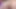 二人の友人がピッツァの配達員とセックスする