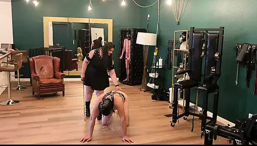 Olgun lateks dominatrix tasmalı çıplak kölelere komut veriyor