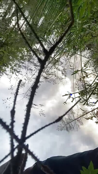 in your own mouth in the forest