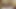 濡れた膣に欲求の勃起