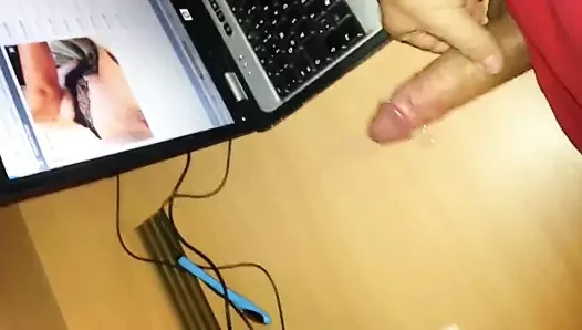 Haraç fuer violapalm