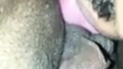 Лизать