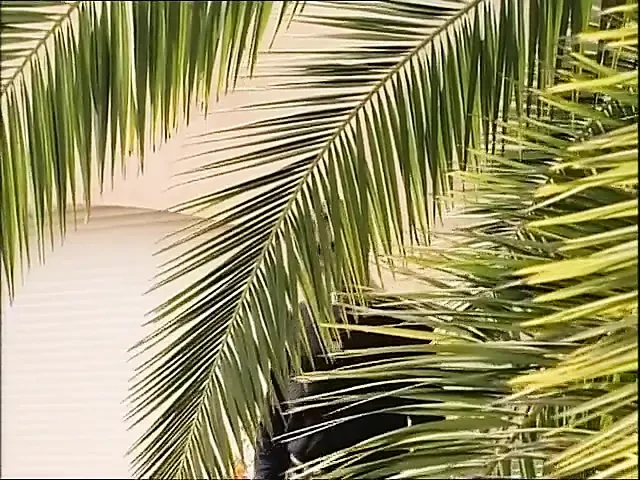 Stunning slut sucking two cocks before a wild double penetration