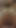 Tentacl dildo ile kocamı götten sikiyorum - shamelesshy | Klip 2