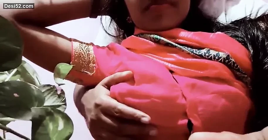 Aunty in a saree
