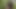 I Fuck a Pretty Indian Woman in the Middle of the Jungle