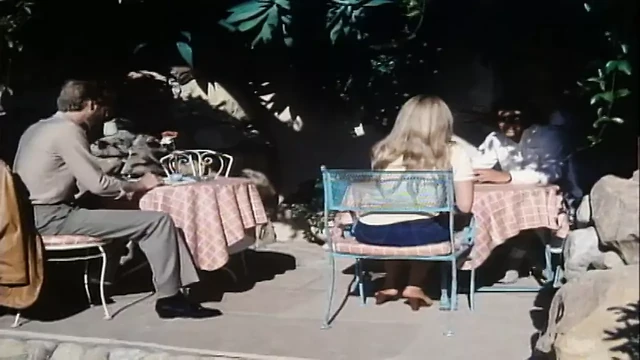 Dear Fanny (1985)