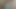 アッシーはいつも私の黒いチンコをしゃぶるのが大好きです