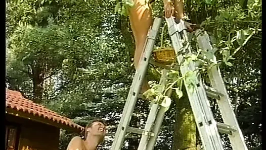 Alman Kapılarının Arkasında Özenle Siktir Edilir - Tam Film
