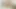 Heißes 20-jähriges schätzchen wird von ihrem älteren liebhaber gefickt