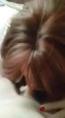 Tmilf shows her sucking skills
