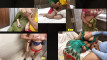 Pratonton Video