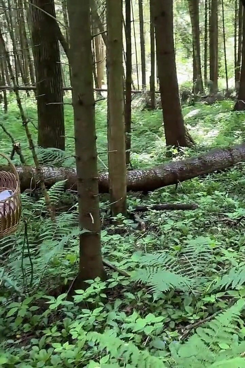 Betrügende reife ehefrau trifft sich mit liebhaber im wald für einen guten fick