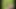 Wanking and walking through the woods