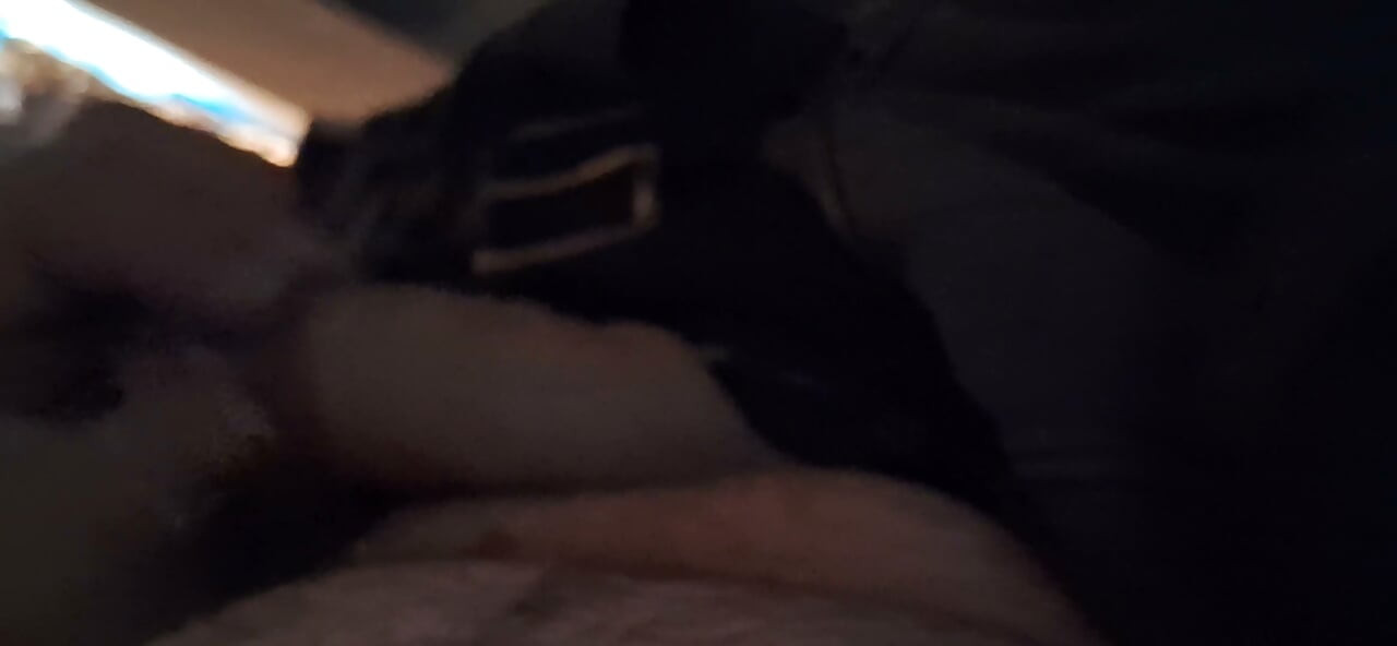 Hard ass Dick