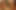 Hintli tamil dusky karısının gizli ilişkisi! Gavat büyük siyah götlü anal, oral seks ve göğüslere boşalmayı filme alıyor - indianhotwifex