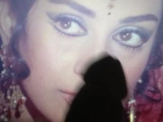 Indyjska aktorka Shira Banu cum hołd