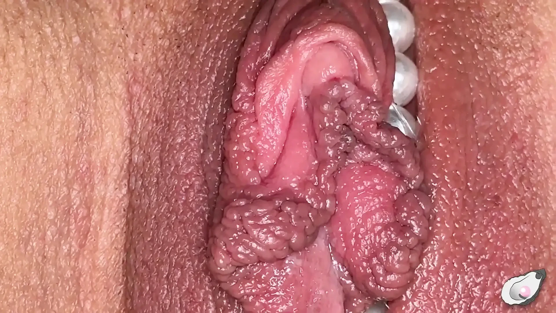 Mistress Pink Pearl - american,big ass