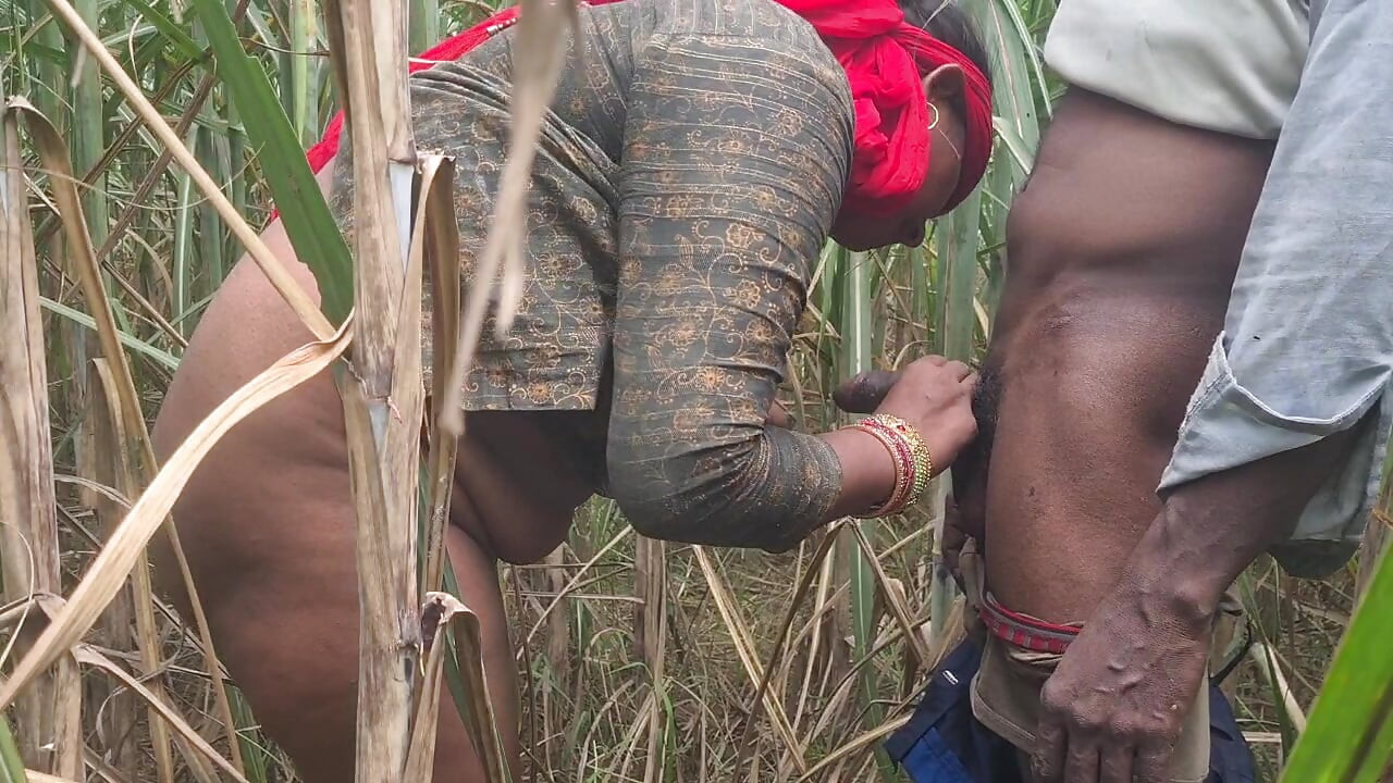 Desi Bhabhi in the sugarcane field