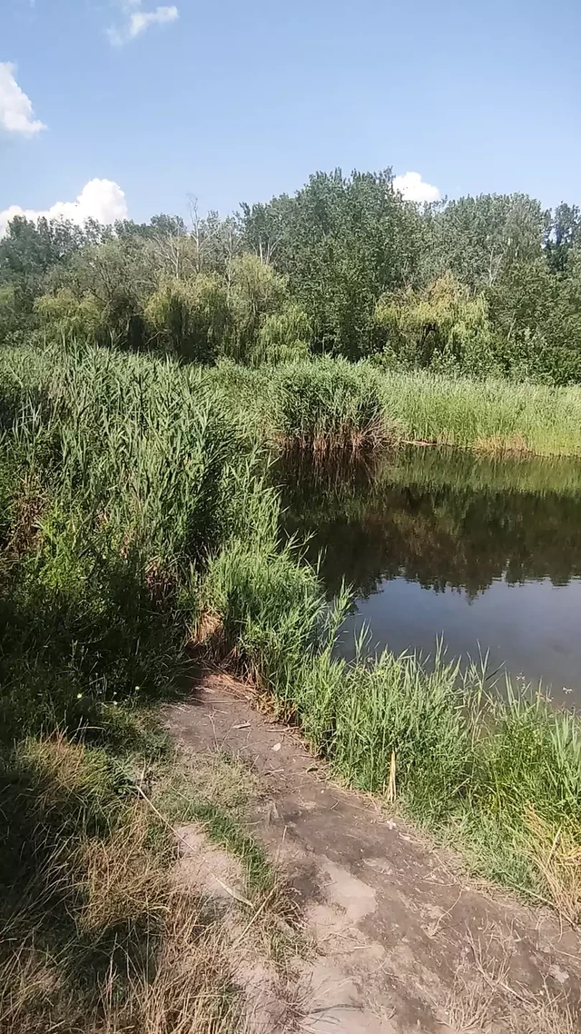 Daily relax time