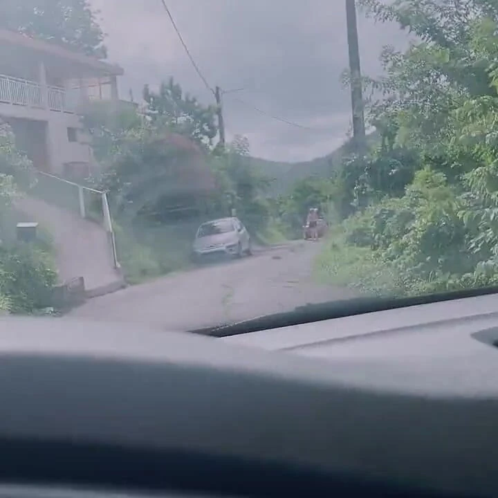Risky Car Sex: BBC Fucks the Jogger with Big Butt and Creampie