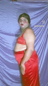 Pregled videozapisa