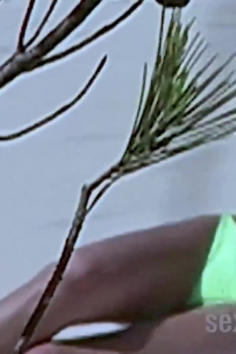 Beach Slut Beata Alone in the Dunes