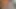 Afrikalı zenci genç kız Amazon Tarzı denemesi yapıyor