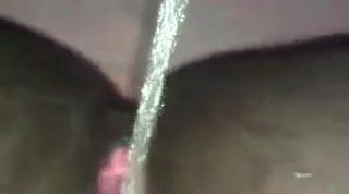 Pussy