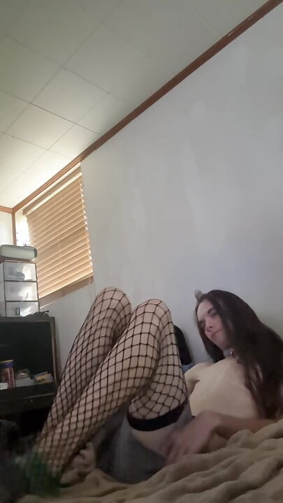 Trans Pet Decides to Explore Herself While Her Owner is Away!
