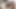 Üvey kızkardeş onu doggystyle siktiğimde yüksek sesle inliyor - İspanyolca porno
