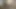 üçlü file çoraplar köpek