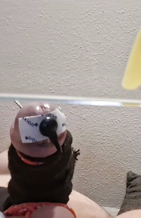 hfo solo estim cumshot electro cbt