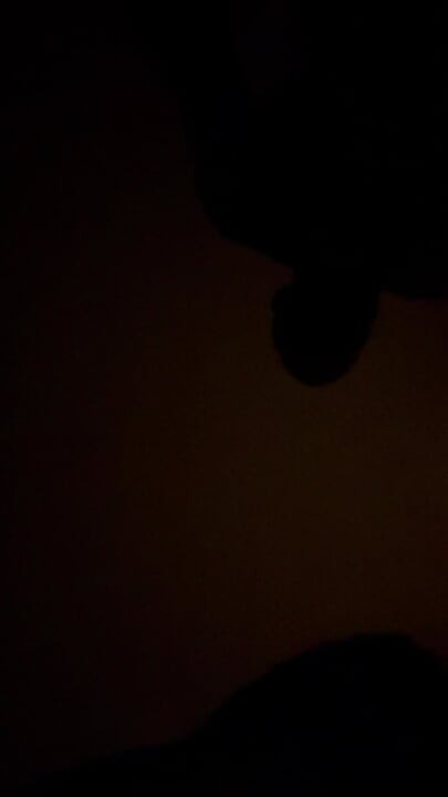 З французьким гетеросексуалом Кайлом